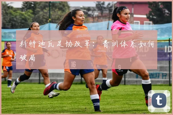 科特迪瓦足协改革：青训体系如何破局
