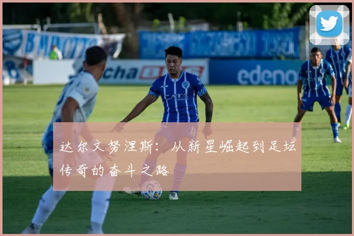 达尔文努涅斯：从新星崛起到足坛传奇的奋斗之路