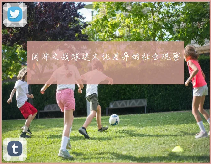 闽津之战球迷文化差异的社会观察