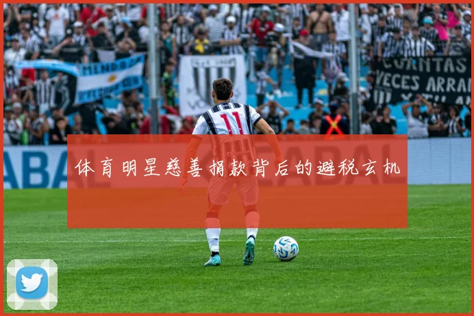 体育明星慈善捐款背后的避税玄机