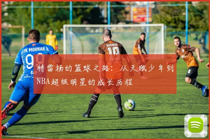 特雷杨的篮球之路：从天赋少年到NBA超级明星的成长历程