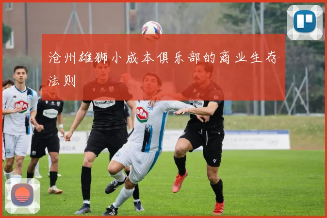 沧州雄狮小成本俱乐部的商业生存法则