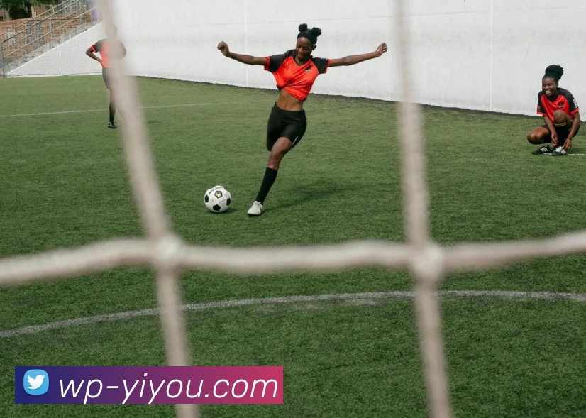 多媒体互动体验