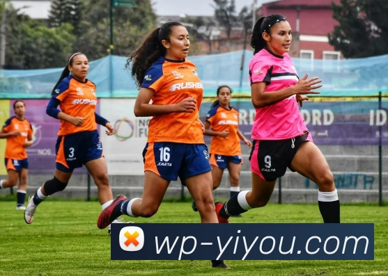 易游APP 高清赛事图